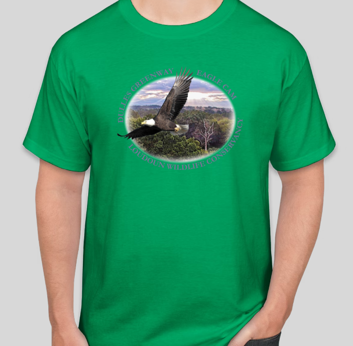 Eagle Cam Tee