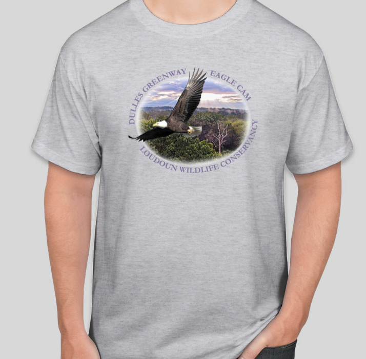 Eagle Cam Tee