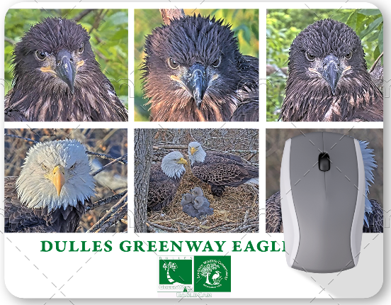 Eagle MousePads