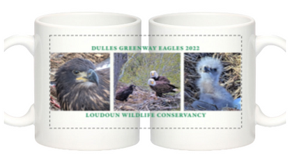 Eagle Mug