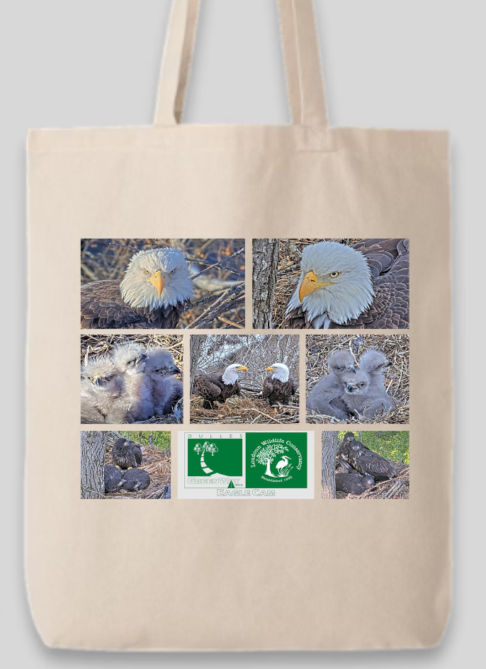 Eagle Tote Bag